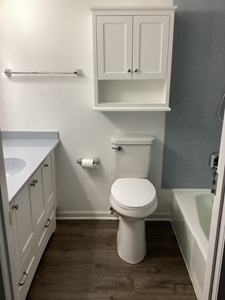 Ace Handyman Services Fox Valley Bathroom Refresh - After