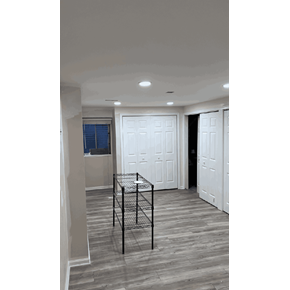 basement remodel Ace Handyman Services Project in Palatine, IL