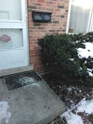 Ace Handyman Services of Lincoln Way installed an exterior handrail before
