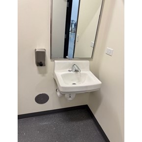 Ace Handyman Services of Lincoln Way replaced a sink 