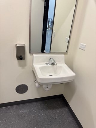 Ace Handyman Services of Lincoln Way replaced a sink after