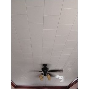 Ace Handyman Services of Lincoln Way repaired and replaced ceiling tiles
