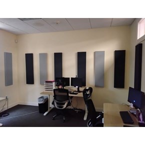 Ace Handyman Services of Lincoln Way hung acoustic panels 