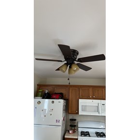 Ace Handyman Services of Lincoln Way replaced a kitchen ceiling fan with a light