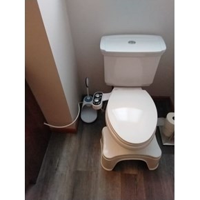Ace Handyman Services of Lincoln Way installed a hot & cold bidet