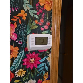 Ace Handyman Services of Lincoln Way replaced a thermostat