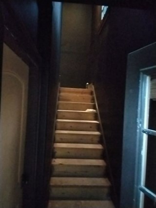 Ace Handyman Services of Lincoln Way installed flooring with stair lighting before