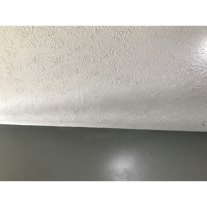 After hole in Ceiling Texture 