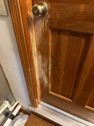 Scratched Before Door Avon IN