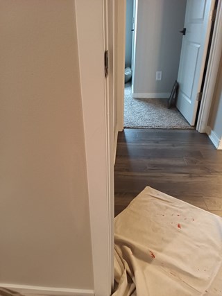 AHS Des Moines East Trim Repair after 