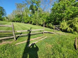 Fence Repair