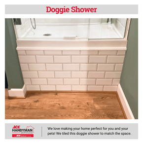 doggie shower doggie shower