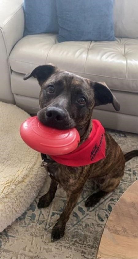Ace Handyman Services Profile Photo of Benny W. Quality Control Manager