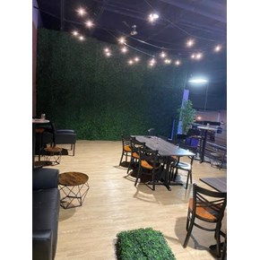 Commercial Work at Stratosphere Social in Eldersburg, MD.