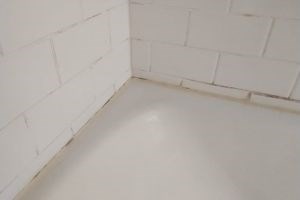 Ace Handyman Services Project in