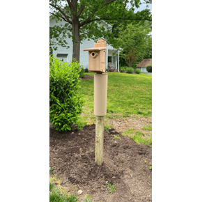 Birdhouse installation in Columbia, MD