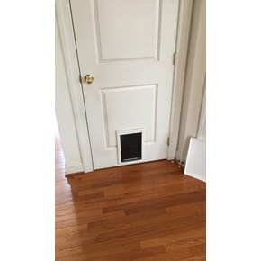 Doggy Door Installation in Howard County, MD