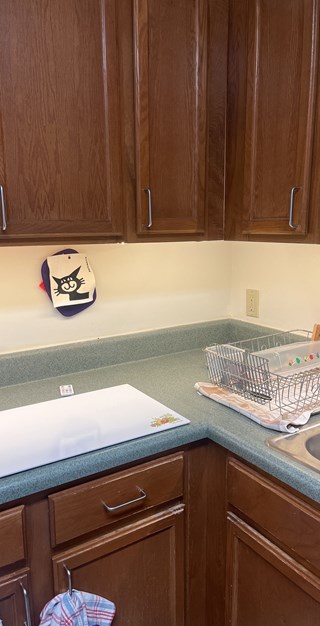 After- Under Cabinet Lights in Odenton, MD- Ace Handyman Services Laurel