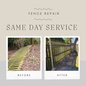 Fence Repair / Installation