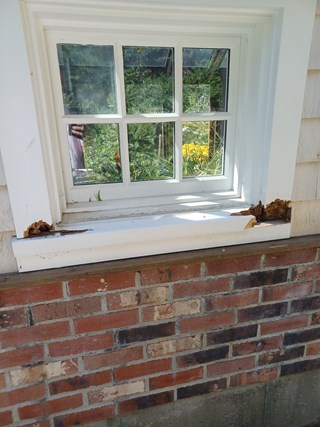 Ace Handyman Services Window Rot Repair Before