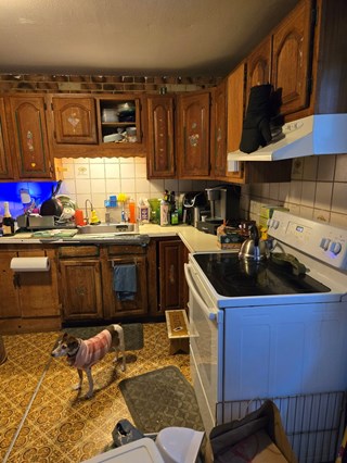 Our Burlington customer wanted to update their tired kitchen