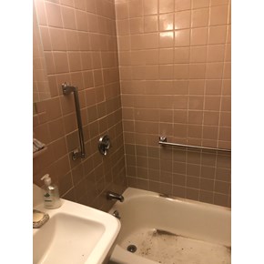 Grab bars in shower
