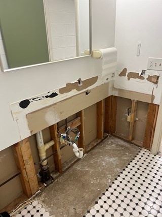 Bathroom Refresh Ann Arbor, MI