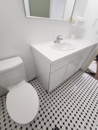Bathroom Refresh Ann Arbor, MI