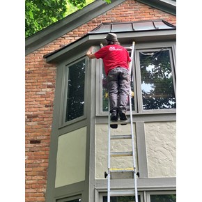 bird holes, wood patch, exterior trim, ace handyman services bloomfield