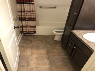 Rockford Bathroom Shower Update
