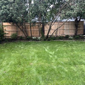Backyard Fence Install
