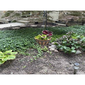 Yardwork