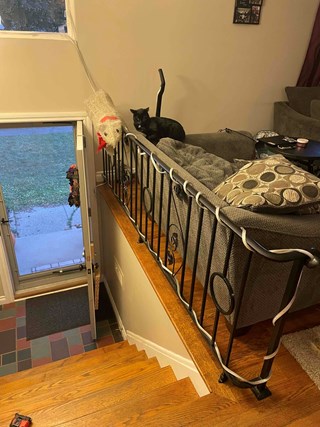 Wall Installation Before Lansing Michigan 