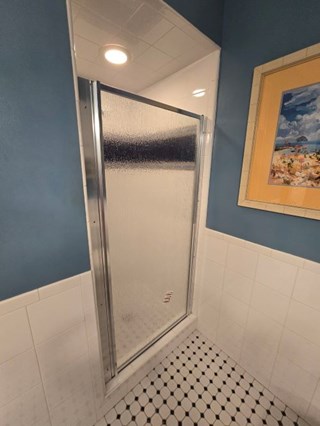 Blue Shower Door After Troy