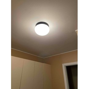 Ceiling Light Troy