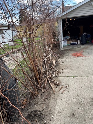 Before Old Fence Tear Down Ace Handyman Metro Detroit