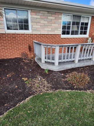 Deck Restoration Before Troy