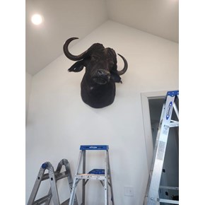 Shelf Install Handle Troy