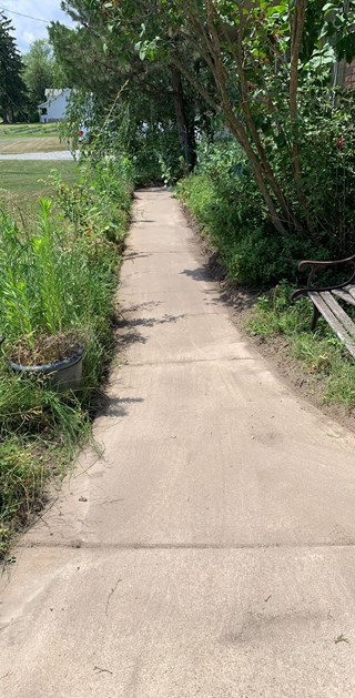 Weeds, yard clean-up in Lenox, MI by Craftsman Gavin G.