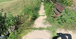 Weeds, yard clean-up in Lenox, MI by Craftsman Gavin G.