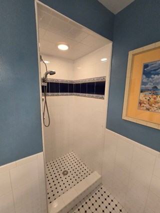 Blue Shower Door Before Rochester Hills