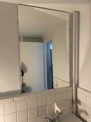 Bathroom Vanity light Before Rochester Hills