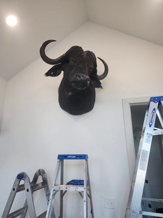 Decor Install After St Claire Shores