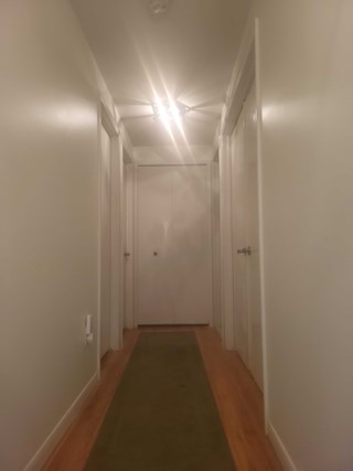 Remove wallpaper and paint hallway Saline Michigan