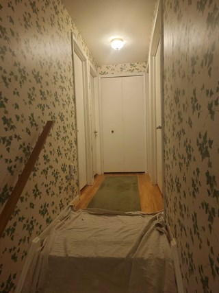 Remove wallpaper and paint hallway Saline Michigan