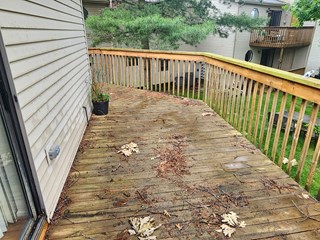 Stain deck in Waterford Michigan