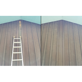 Second Woodpecker Damage Repair