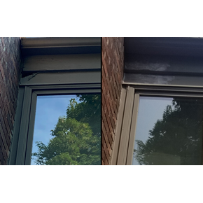 Woodpecker Damage Repair