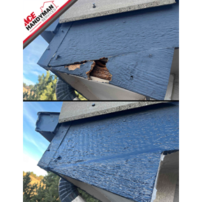 Fascia Repair Ace Handyman Services