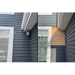 Woodpecker Damage Repair